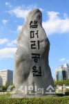 차보다 사람, 걷고 싶은 광주(5) 낭만이 있는 대전 시청 앞 가로수길
