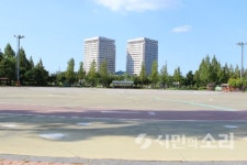차보다 사람, 걷고 싶은 광주(5) 낭만이 있는 대전 시청 앞 가로수길