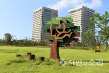 차보다 사람, 걷고 싶은 광주(5) 낭만이 있는 대전 시청 앞 가로수길