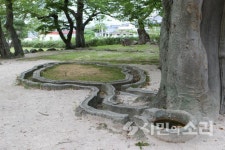 차보다 사람, 걷고 싶은 광주(6) 경주 삼릉 가는 길