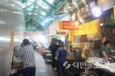 차보다 사람, 걷고 싶은 광주(7) 강릉 월화거리