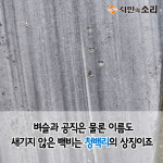 [카드뉴스]전남장성 선비의 숨결을 찾아