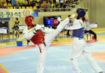 전남도교육청, 청자골 강진서 금빛 돌려차기!!