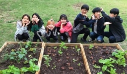 서구청소년문화의집 시소텃밭 가꾸기 운영