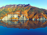 설렘화순 버스투어, 인기 폭발