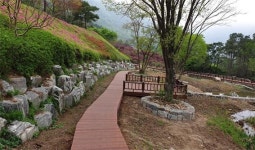 화순 수만리 생태숲 습지정원 힐링 명소 각광