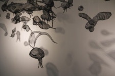 광주시립미술관, 하정웅청년작가초대전 빛 2019