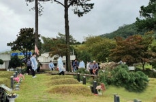 5ㆍ18구묘역, 40여년 지켜온 수호목 태풍으로 쓰러져