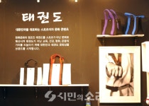 서울 디자인 페스티벌, 하우컴퍼니 태권도를 디자인에 접목