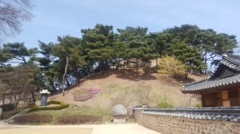 부패는 망국의 지름길 - 31회 정약용, 탕론(湯論)을 짓다. (4)