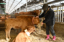 물난리 겪은 구례 양정마을 새끼 송아지 커 가듯 슬픔 이겨내야