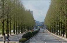 전남대, 세계대학 영향력 순위 300위권서 100위권 껑충