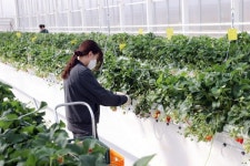 고흥 스마트팜 혁신밸리, 청년농 육성 핵심시설 우뚝