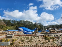 홍어의 고장 흑산도에 37년 만에 고래가 돌아왔다.