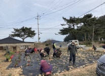 완도군, 청정전남 으뜸마을 만들기 42개소 신규 선정