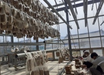 강진 전통된장, 역사만큼 깊은 맛으로 소비자 호응