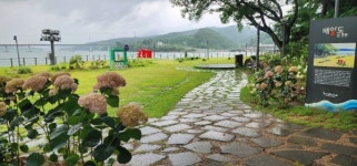 광양 배알도 섬 정원, 수국 명소로 새단장… 동주의 별빛정원 조성 본격화