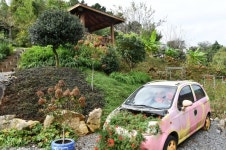 담양군, 전라남도 제31호 민간정원 달빛여행정원 정식 개원