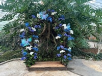 함평군 자연생태공원, 나비가 피운 꽃, 호접란 특별전 개최