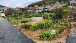 여수시, 도시민 친환경 가족텃밭 155세대 모집