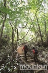 [지리산의 길] 지리산꾼의 추억 제작소, 치밭목대피소 가는 길 9.6km