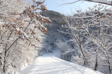 [진안 특집] 하늘땅, 진안고원길을 즐기는 열네 가지 방법
