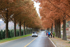 [진안 특집] 하늘땅, 진안고원길을 즐기는 열네 가지 방법
