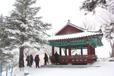 [진안 특집] 하늘땅, 진안고원길을 즐기는 열네 가지 방법