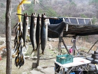 [김필봉의 늡다리 일기] 조빠지게로 겨울나기