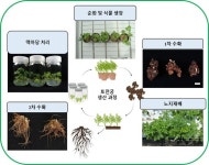 전통 약용식물 토천궁, 대량생산 길 열렸다