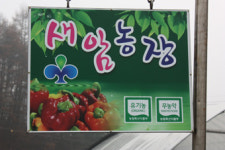 [신년특집기획] ②억대농군, 고소득 비법을 찾아라 1. 이영화 새암농원 대표