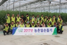 농협경북본부, 농촌일손돕기 실시