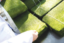 [연재] 부가가치 높이는 수산가공업체를 가다 1. 송원식품