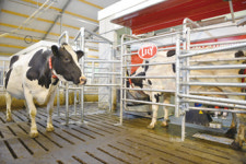 [창간특집]생각하는 축산 - ① 산업을 생각하는 축산