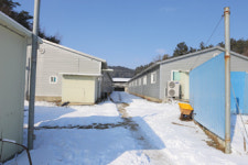 [창간특집기획7]생존기로 축산, 질병의 불씨를 잡아라