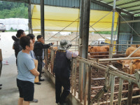 한우 생산기반 안정화…역량강화