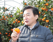 [3사공동기획]중앙농정과 지방농정 역할 재정립 ⑤제주특별자치도  제주도 농정체제와 사업분석