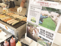 동물복지인증 돼지고기 돈마루 성지농장 주목