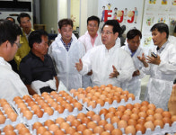 부적합 판정 52개 농장 출하 계란 검사 강화