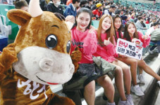 한우 먹고 홈런 가즈아