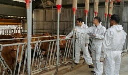 경북도축산기술연구소, 한우농가 신기술 보급에 앞장