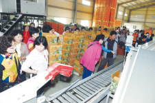 개진감자영농조합법인, 감자 직판장 개장