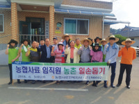 농협사료 전북지사·군산바이오, 감자수확 두 팔 걷어