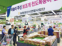 천도복숭아 특별판매전