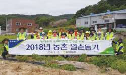 동고령농협, 감자수확 일손돕기 구슬땀