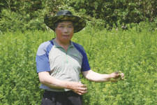 [농림축수산인 성공스토리] 최도근 최씨네 개똥쑥 농장 대표