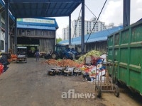 [초점] 광주도매시장 쓰레기 몸살 악취 진동… 개설자는 무관심