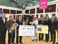 서울우유 홀스타인품평회, 김재혁 계전목장 대표 그랜드 챔피언