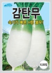 농우바이오, 숙기 빠른 감탄무, 상품성 높은 태춘배추 본격 판매