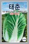 농우바이오, 숙기 빠른 감탄무, 상품성 높은 태춘배추 본격 판매